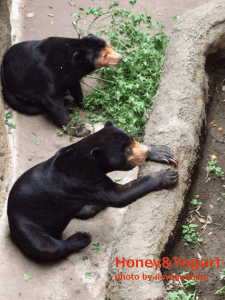 アズマとキョウコ