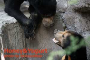 マーズとマーサ