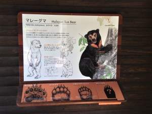 クマの手比較　comparative of bears' hand