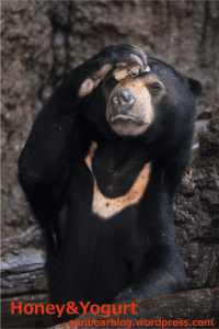 上野動物園　マレーグマ　フジ