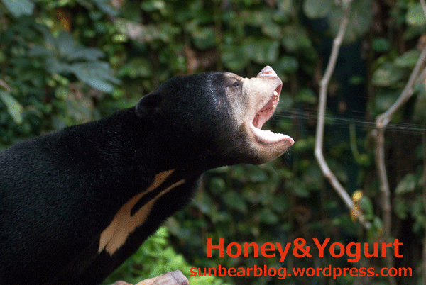 のいち動物公園　ジュースタイム