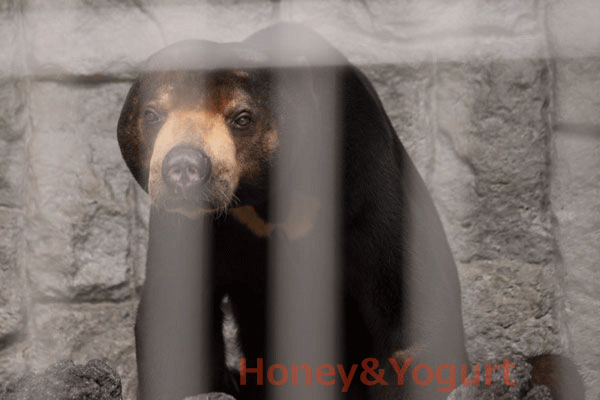 寝起きサンディくん