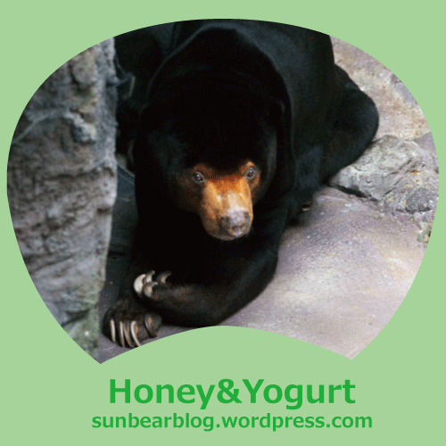 のいち動物公園　マレーグマ　ワンピイ