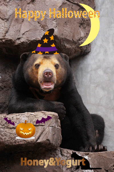 天王寺動物園　マレーグマ　マーサ