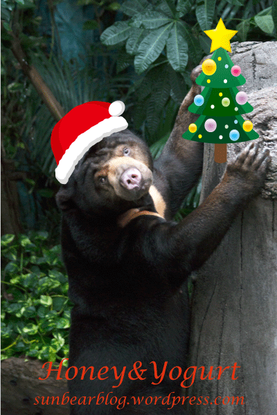 のいち動物公園　マレーグマ　タオチイ