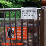 上野動物園　マレーグマ舎