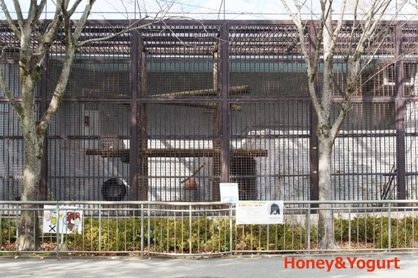 熊本市動植物園　マレーグマ舎
