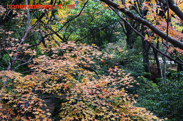 平川動物公園園内