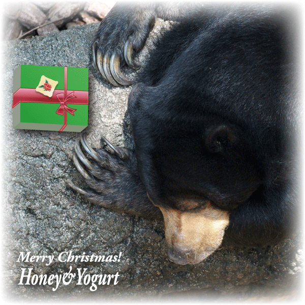 上野動物園　マレーグマ　モモコ