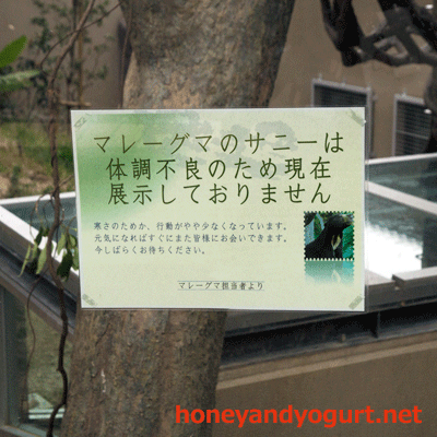 福岡市動物園　マレーグマ放飼場