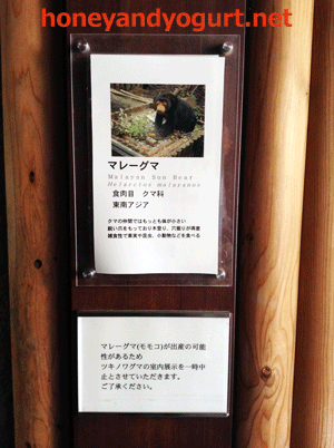 上野動物園　ツキノワグマ室内展示室