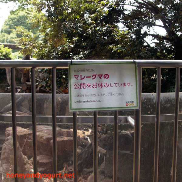 上野動物園　マレーグマ舎
