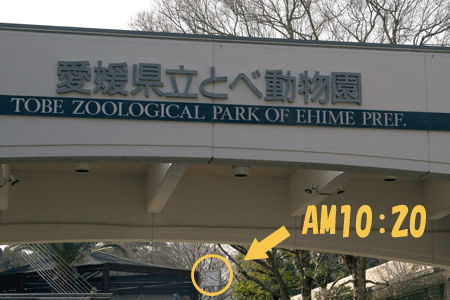 愛媛県立とべ動物園　エントランス