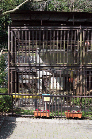 とべ動物園　マレーグマ舎