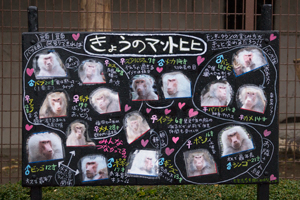 とべ動物園　モンキータウン