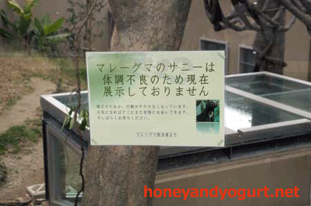 福岡市動植物園 マレーグマ舎