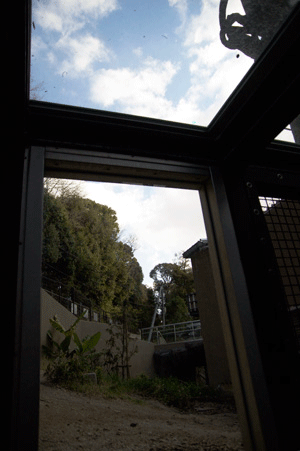 福岡市動植物園 マレーグマ舎