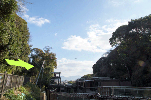 福岡市動植物園　マレーグマ舎からの眺め