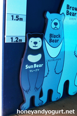 マレーグマとツキノワグマの大きさ