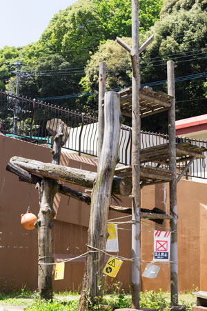 福岡市動物園　旧マレーグマ舎　放飼場　櫓