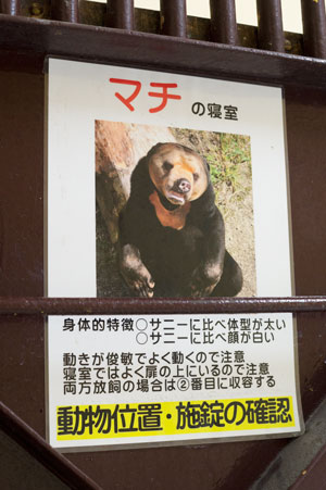 福岡市動物園　旧マレーグマ舎　獣舎内部　マチ