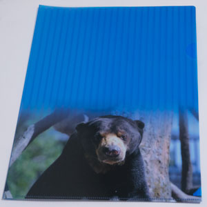 福岡市動物園　オリジナルクリアファイル　マレーグマ