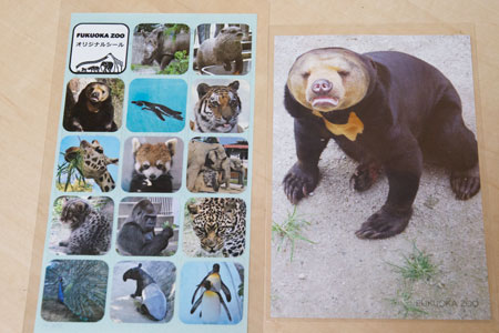 福岡市動物園　マレーグマ　マチ　シールとポストカード