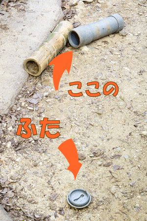 福岡市動物園 マレーグマ舎