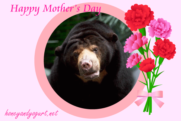 のいち動物公園　マレーグマ　タオチイ