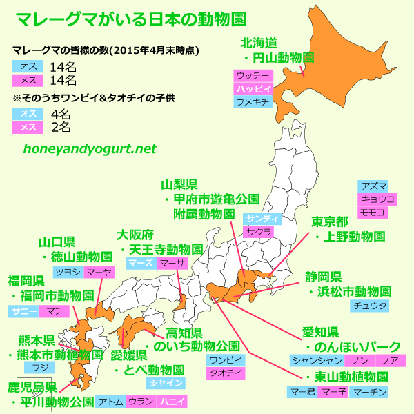 マレーグマがいる日本の動物園　都道府県　名前　性別