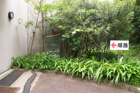 のいち動物公園 ジャングルミュージアム 入り口