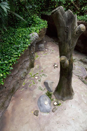 のいち動物公園 マレーグマ放飼場