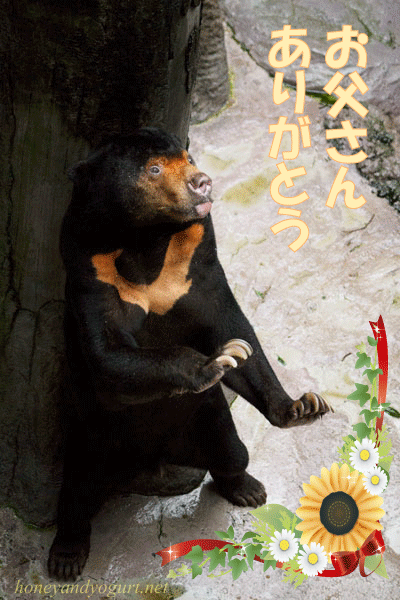 のいち動物公園 マレーグマ ワンピイ