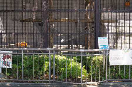 熊本市動植物園　マレーグマ舎