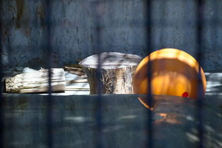 熊本市動植物園　マレーグマ舎