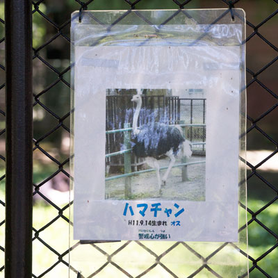 熊本市動植物園　ハマチャン