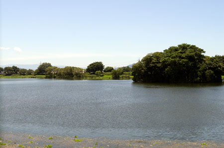 熊本市動植物園内　下江津湖