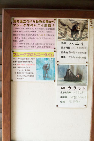 平川動物公園 マレーグマ舎