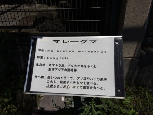 遊亀公園附属動物園 マレーグマ舎