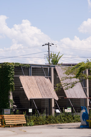 山梨県 甲府市 遊亀公園附属動物園 猛獣舎