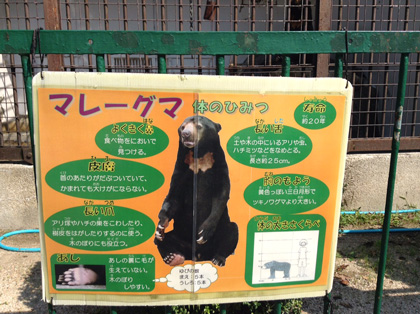 徳山動物園 マレーグマ舎