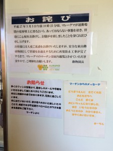 マーチンからのお知らせ