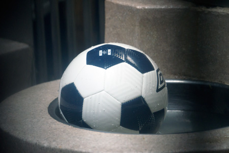 東山動物園 マレーグマ舎