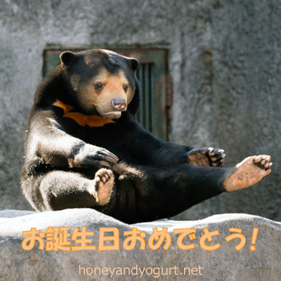 マレーグマ　ノア