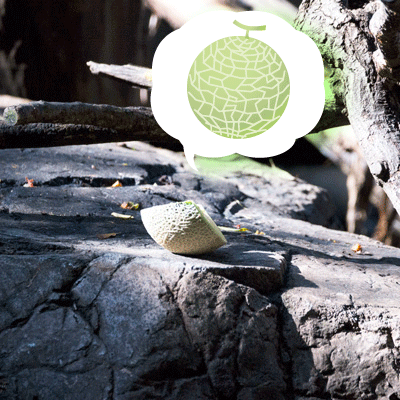 上野動物園　マレーグマ舎