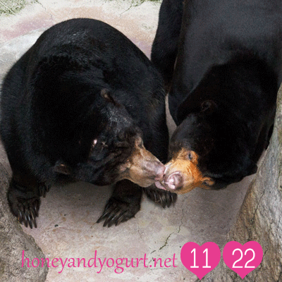 高知県　のいち動物公園　マレーグマ　ワンピイ　タオチイ