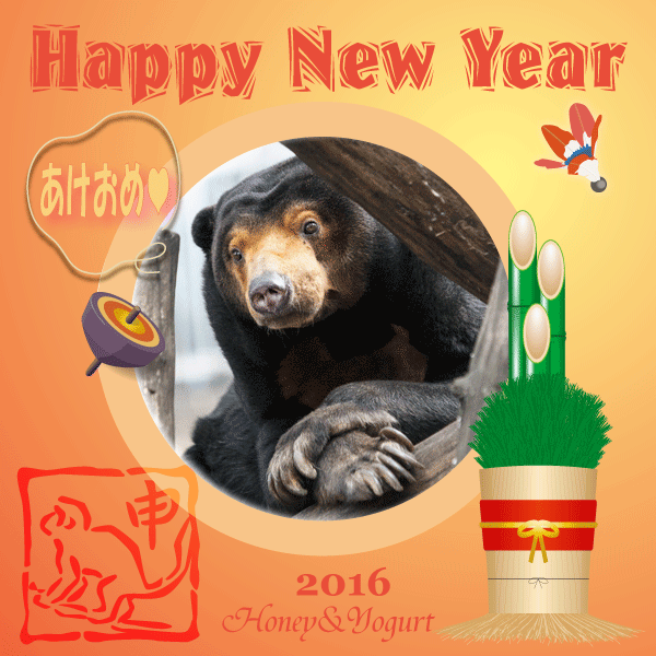 Happy New Year!