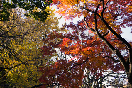 上野動物園　東園　売店横