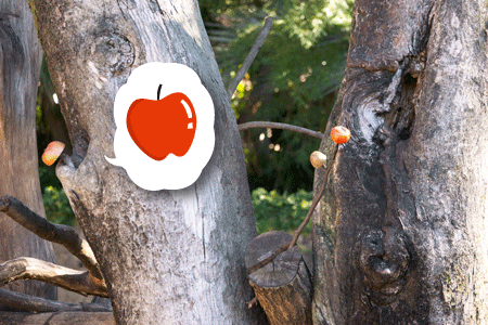 上野動物園　マレーグマ舎