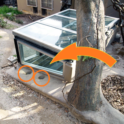 福岡市動物園　マレーグマ舎　地下ピット